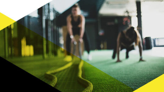 Components of fitness