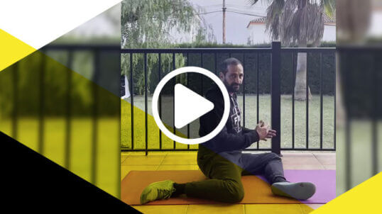 Active Flexibility